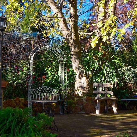 Possum Creek Lodge Gooseberry Hill Esterno foto