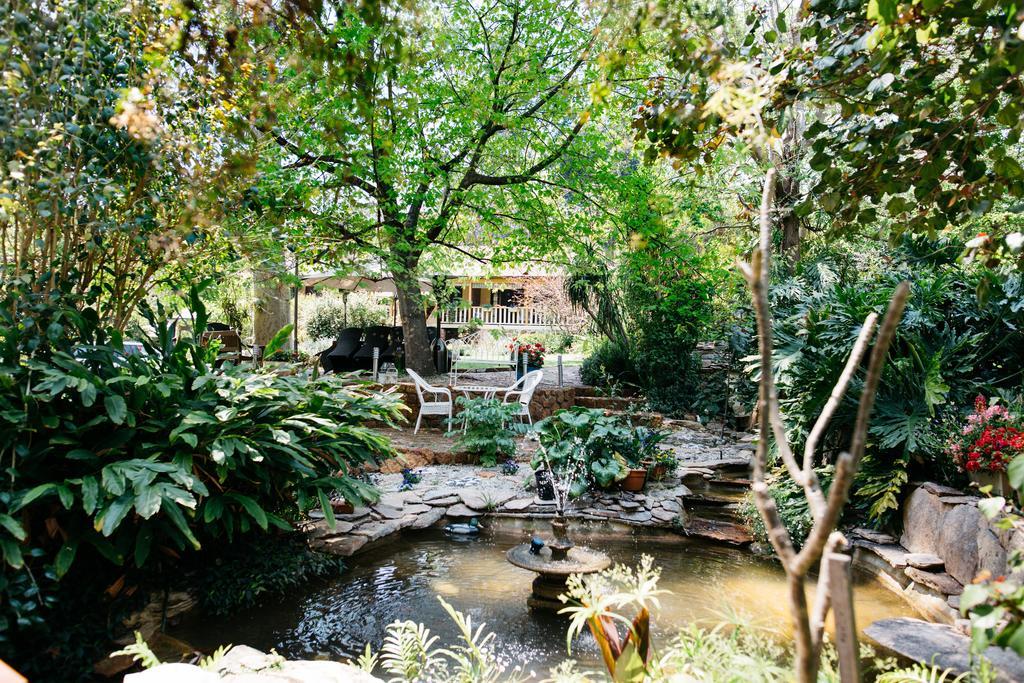 Possum Creek Lodge Gooseberry Hill Esterno foto