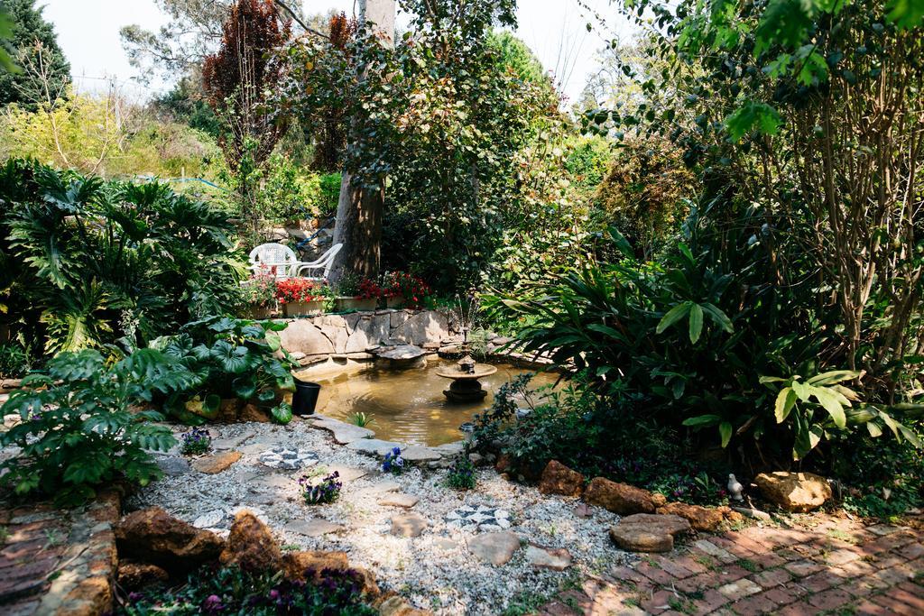 Possum Creek Lodge Gooseberry Hill Esterno foto
