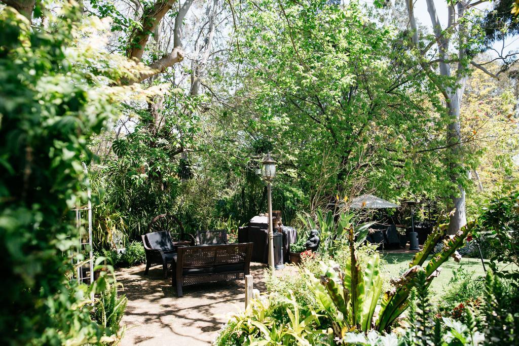Possum Creek Lodge Gooseberry Hill Esterno foto
